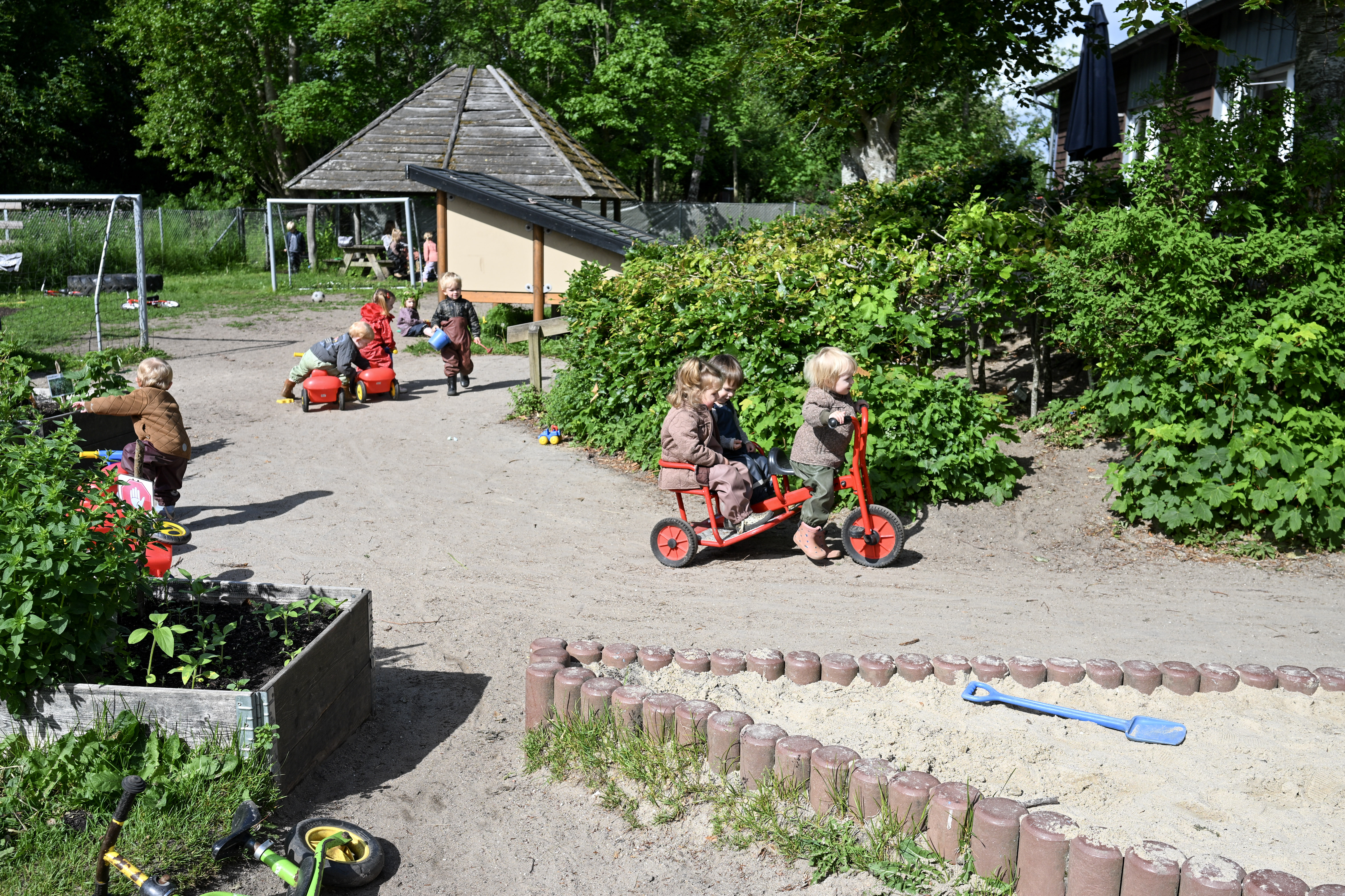 Børn på legeplads