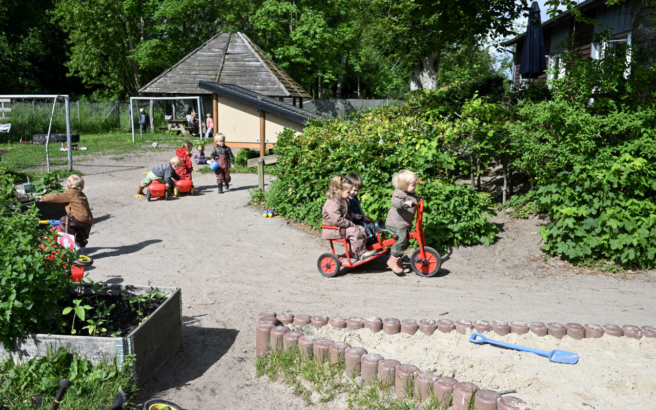 Børn på legeplads