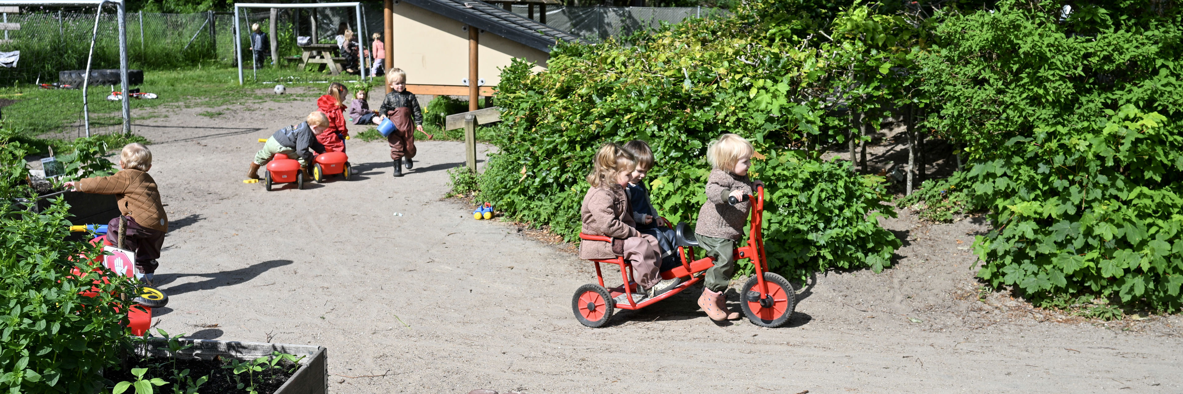 Børn på legeplads