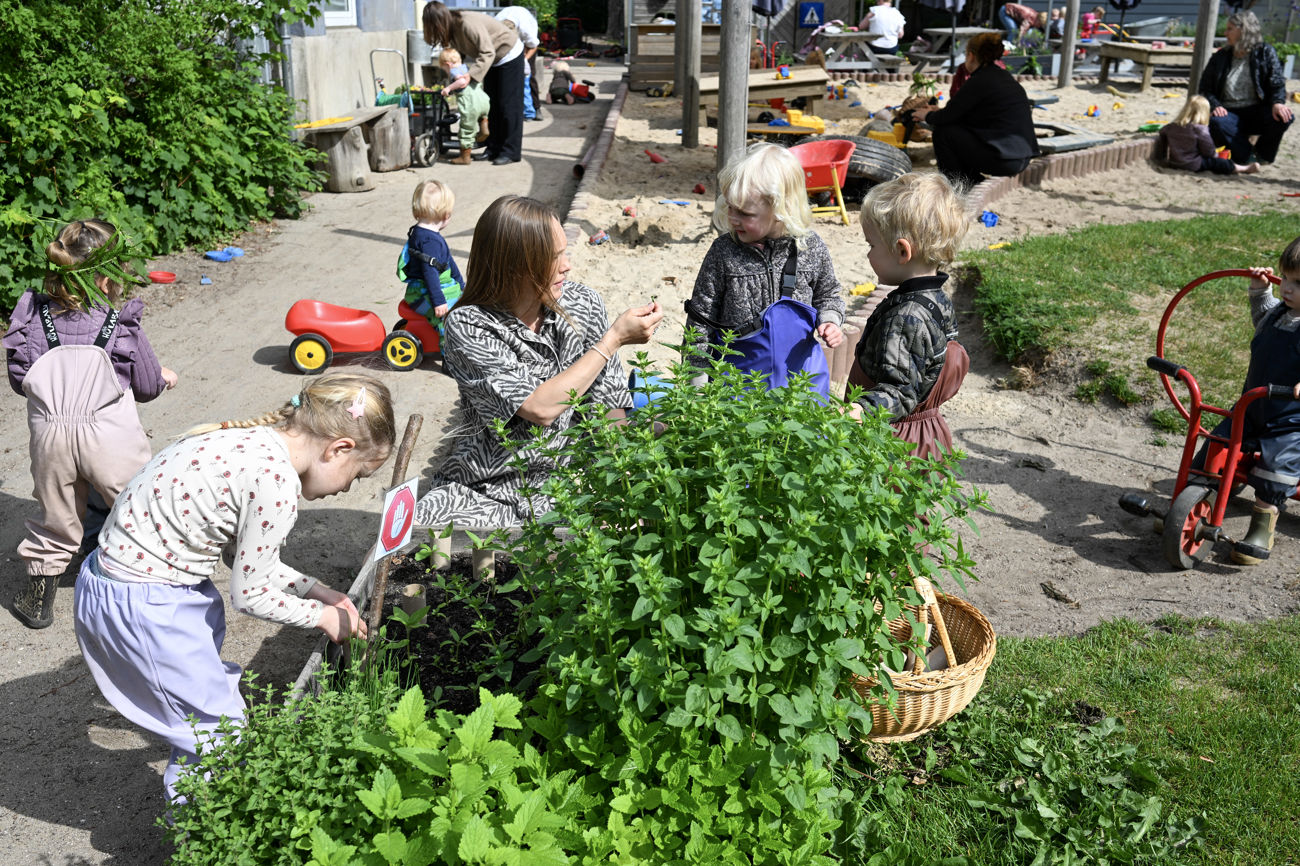 Børn og pædagog kigger på planter